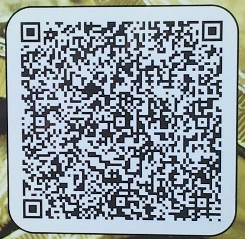 Silly QR
