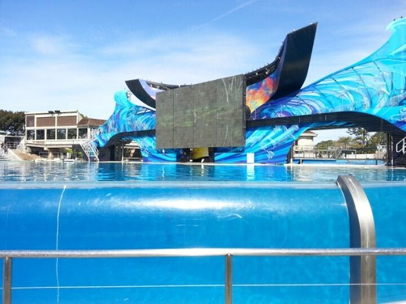 Shamu's tank.